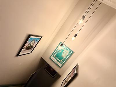 Picture 24